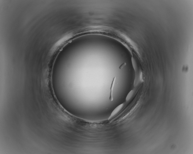 X0000091451411200708161249