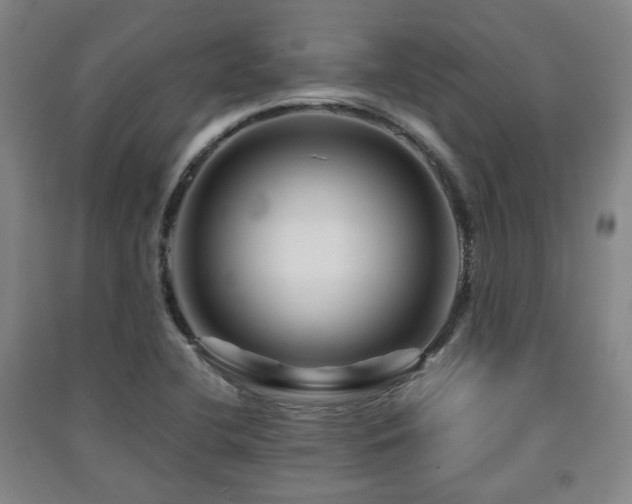 X0000091451412200708161249