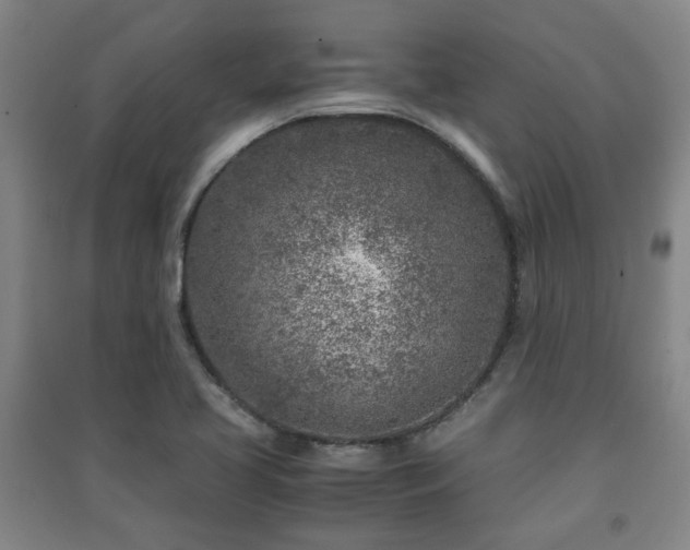 X0000091451413200708161249
