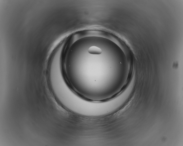 X0000091451414200708161249