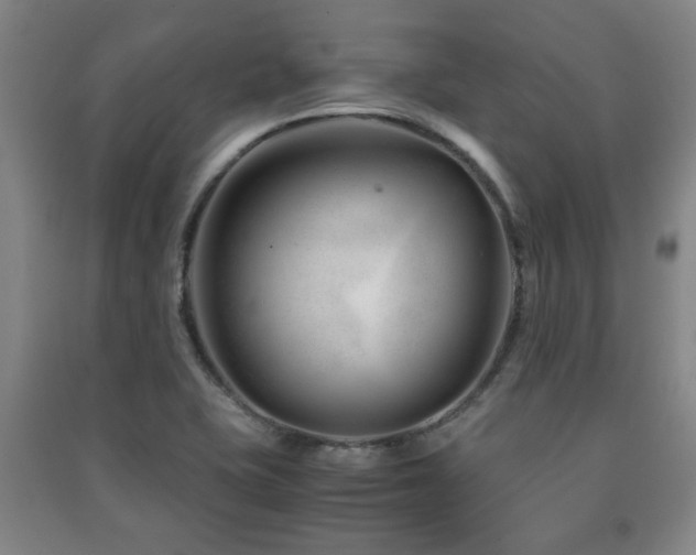 X0000091451415200708161249
