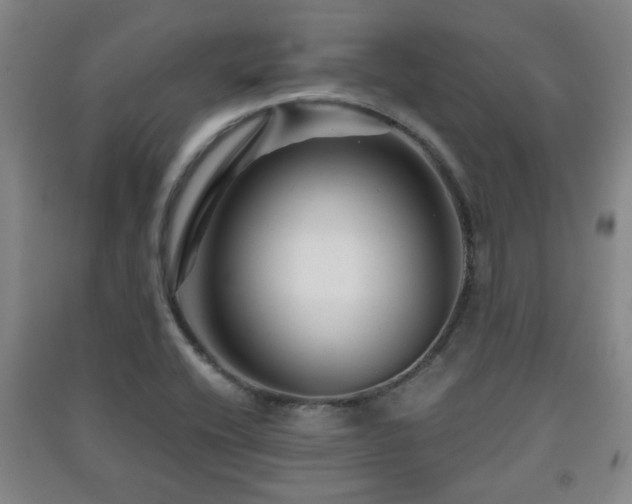 X0000091451416200708161249