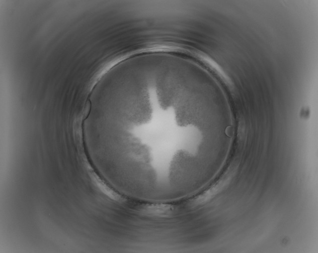 X0000091451417200708161249
