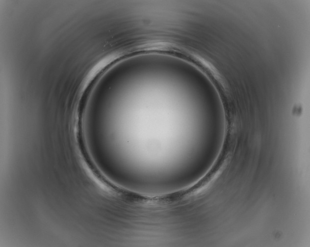 X0000091451418200708161249