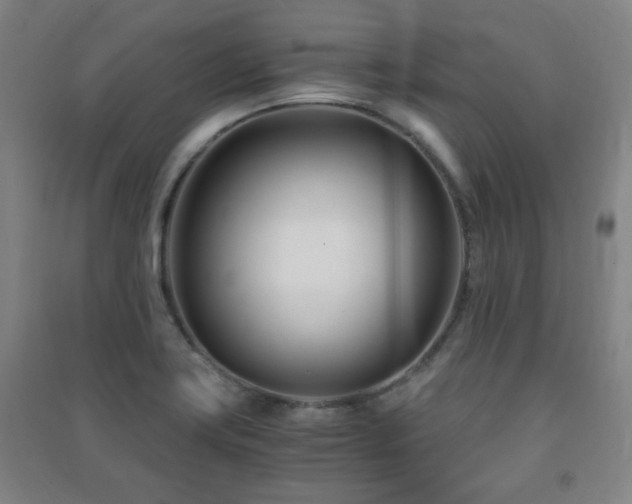 X0000091451419200708161249