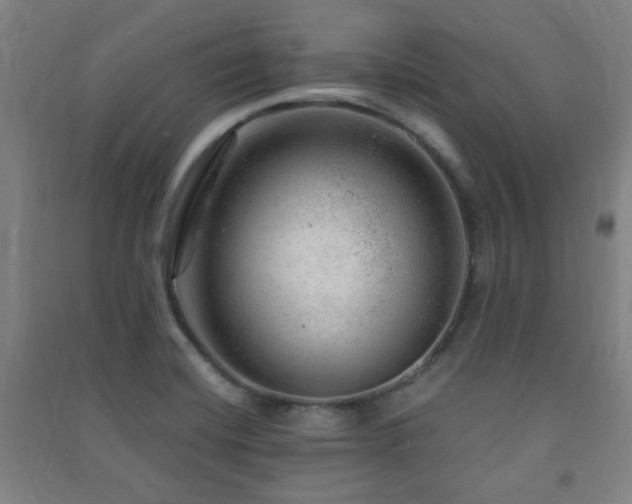 X0000091451420200708161249