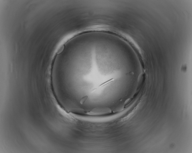 X0000091451421200708161249
