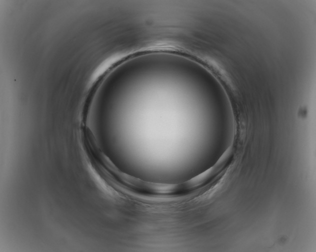 X0000091451422200708161249