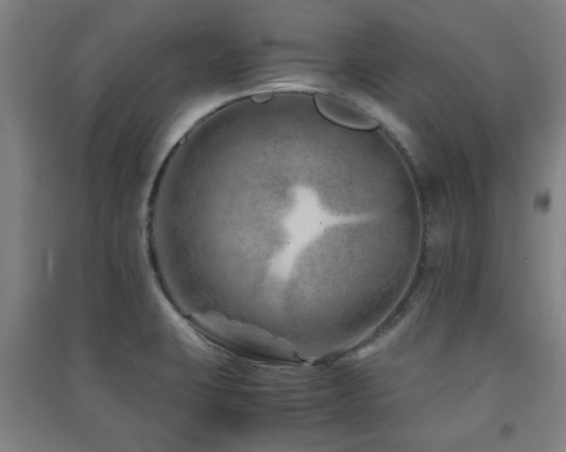 X0000091451423200708161249