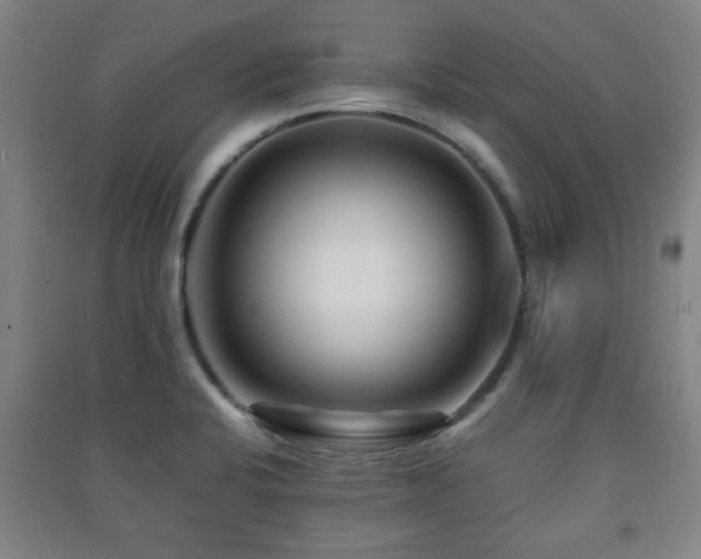 X0000091451424200708161249
