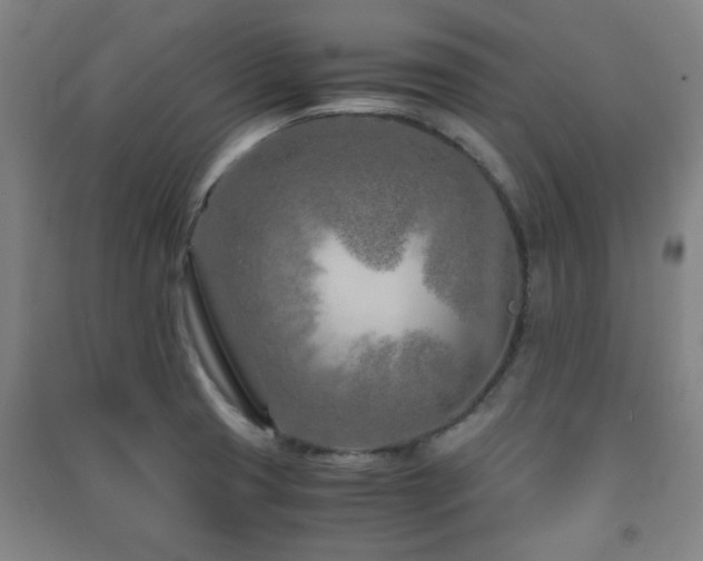 X0000091451425200708161249