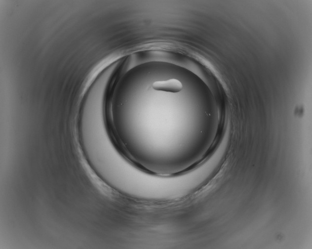 X0000091451426200708161249