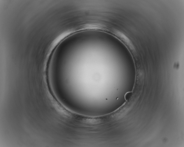 X0000091451427200708161249