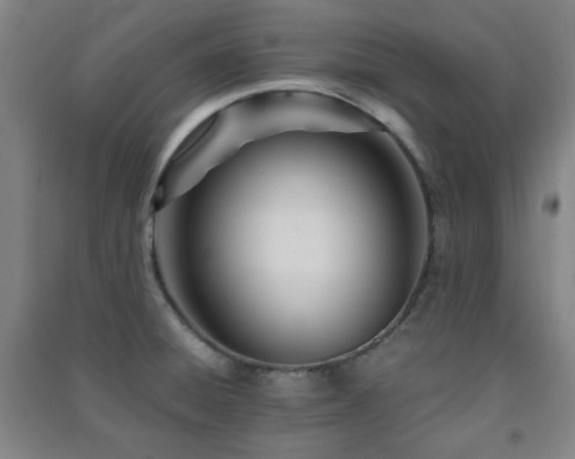 X0000091451428200708161249