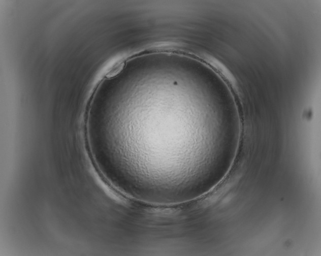 X0000091451429200708161249