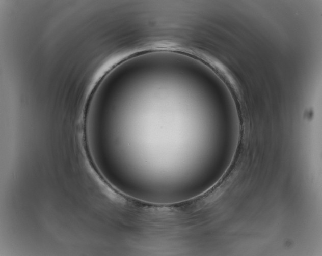 X0000091451432200708161249
