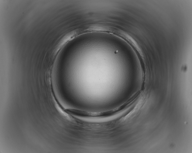 X0000091451433200708161249