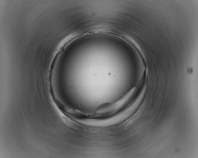 X0000091451434200708161249