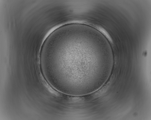 X0000091451436200708161249