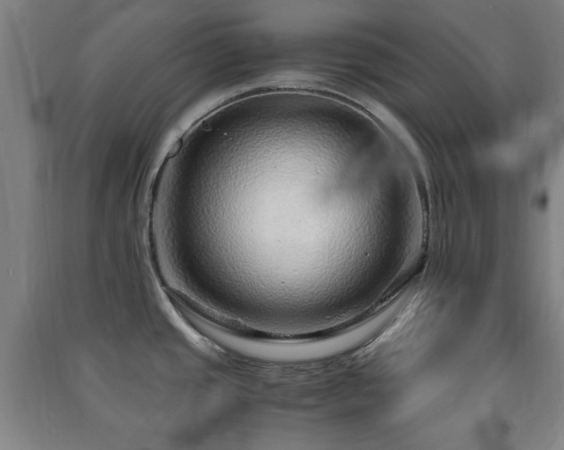 X0000091451437200708161249