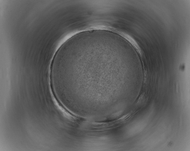 X0000091451439200708161249