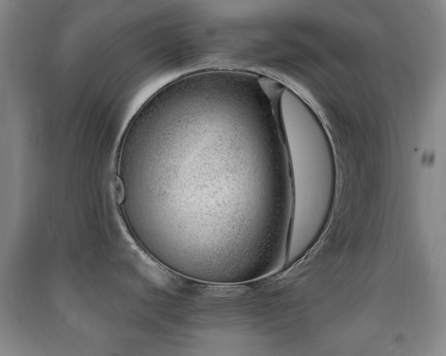 X0000091451440200708161249