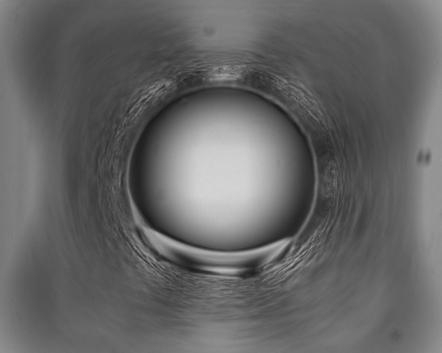 X0000091451441200708161249