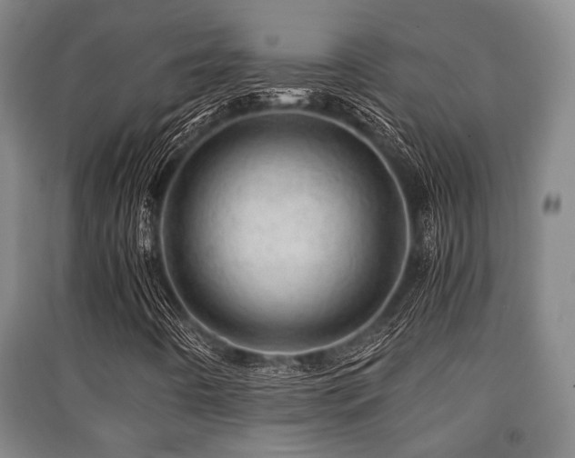 X0000091451442200708161249