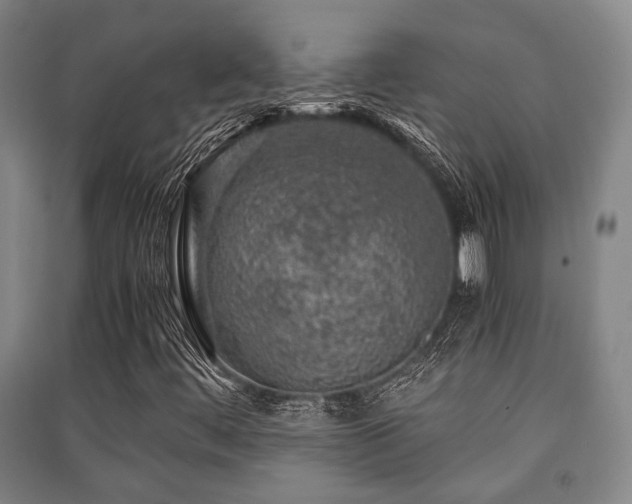 X0000091451444200708161249