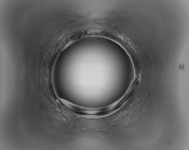X0000091451445200708161249