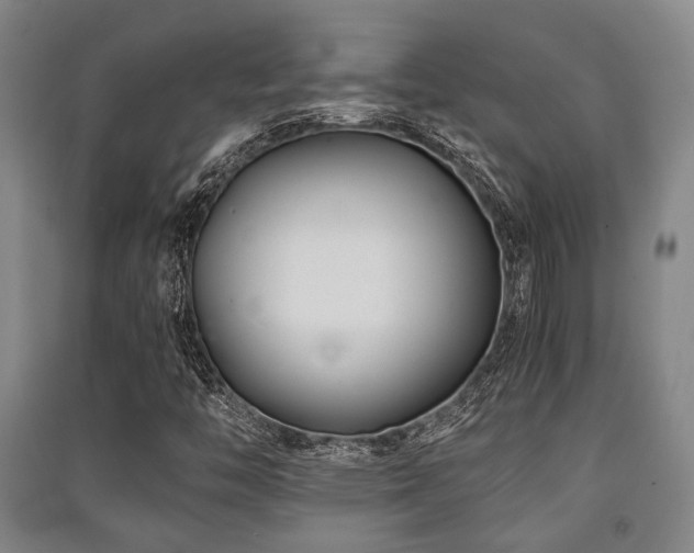 X0000091451446200708161249