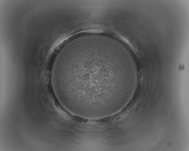 X0000091451448200708161249
