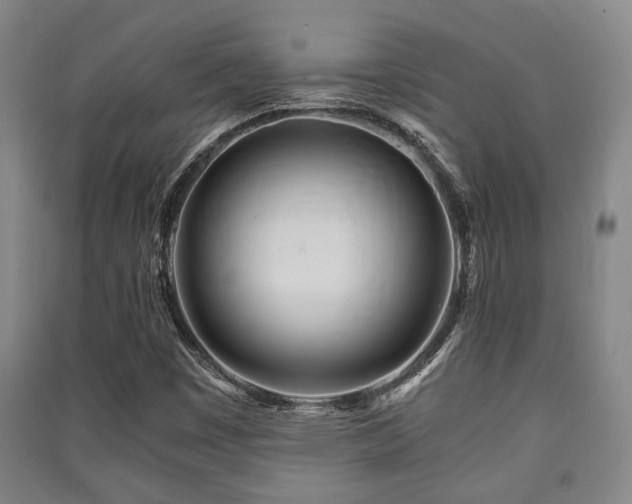 X0000091451449200708161249