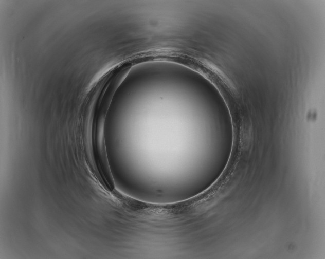 X0000091451450200708161249