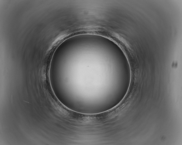 X0000091451451200708161249