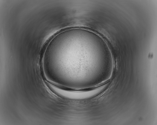 X0000091451452200708161248