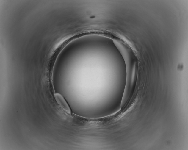 X0000091451453200708161248