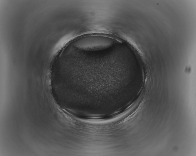 X0000091451455200708161248