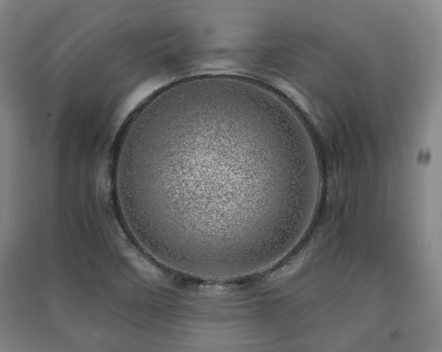 X0000091451458200708161248