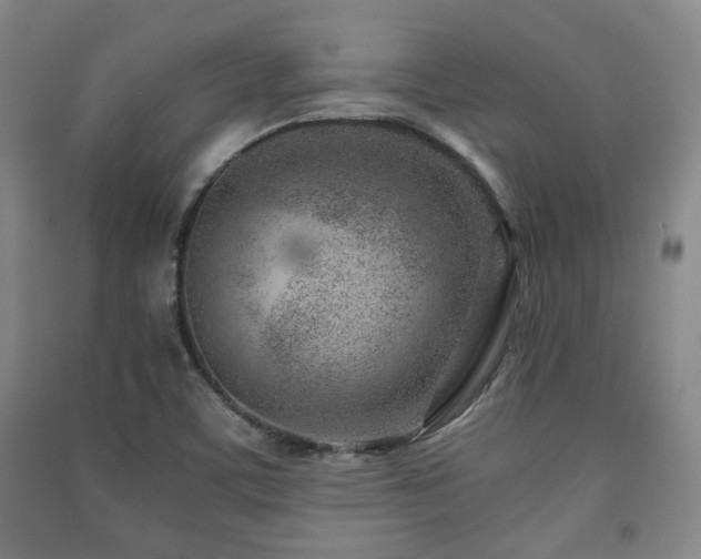 X0000091451459200708161248