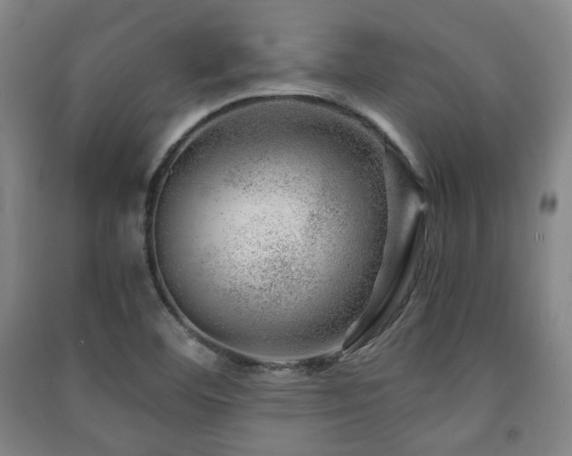 X0000091451460200708161248