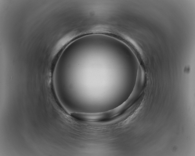 X0000091451461200708161248