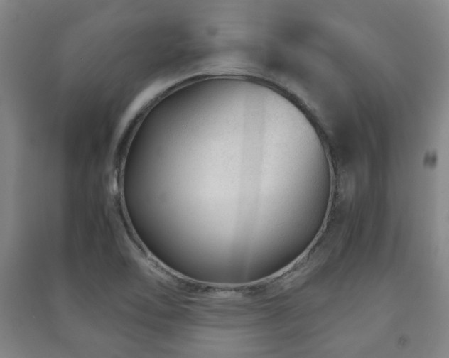 X0000091451462200708161248