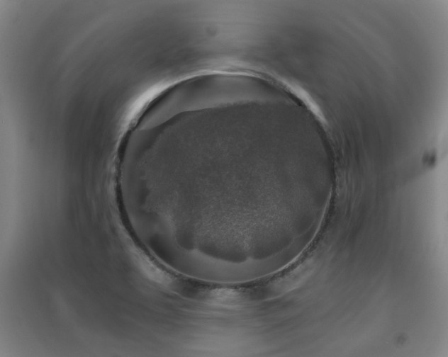 X0000091451463200708161248