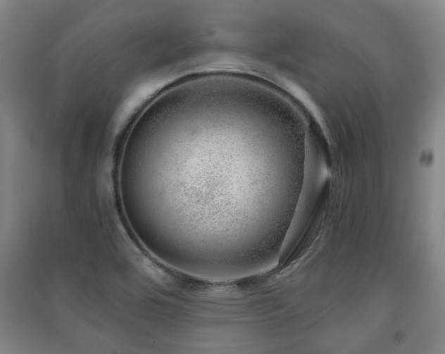X0000091451464200708161248