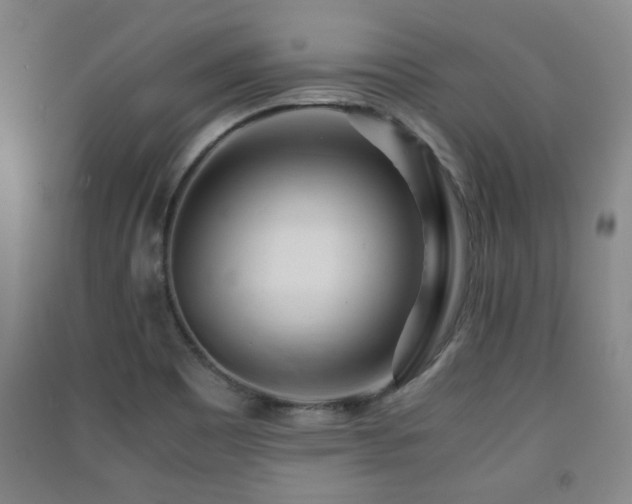 X0000091451465200708161248