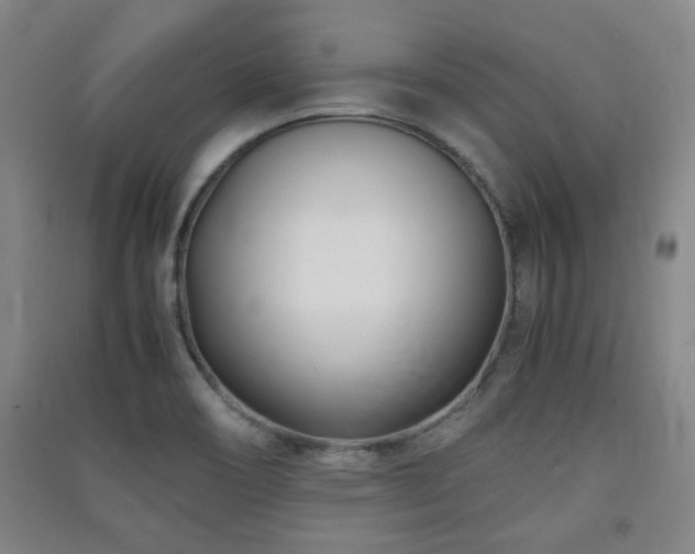 X0000091451466200708161248