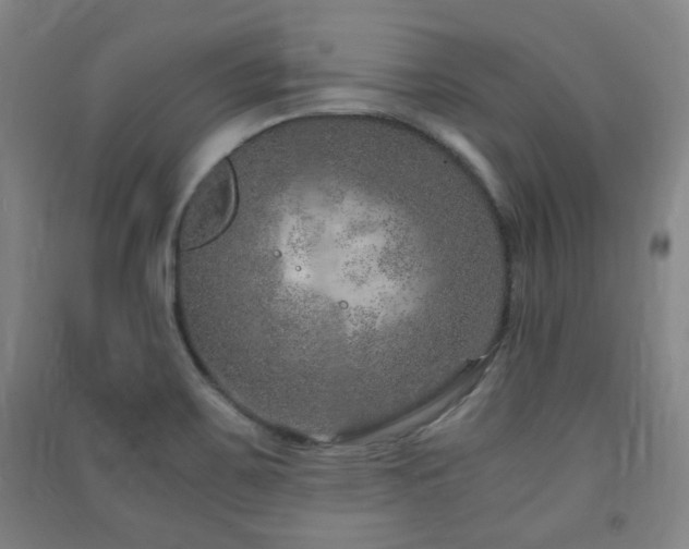 X0000091451467200708161248