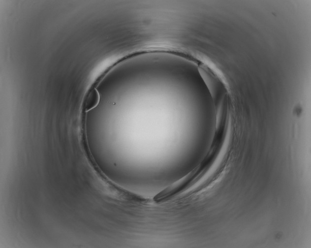 X0000091451469200708161248