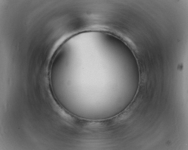 X0000091451470200708161248